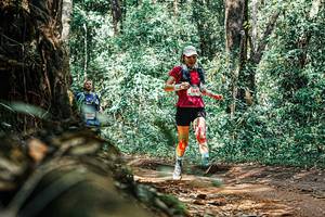 BIB: 
                            <button type="button" onclick="openModal(25395421)" class="btn btn-primary btn-sm float-right btn-popup" data-toggle="modal" data-target=".modal-high-quality">
                        <i class="fas fa-shopping-cart"></i> Add to Cart
                    </button>
                                            <button type="button" onclick="isThisMe(25395421, true)" class="btn btn-success btn-sm float-right btn-popup btn-isme hidden" data-toggle="tooltip" data-placement="bottom" title="นี่คือรูปของคุณใช่ไหม คลิกที่นี่เพื่อเอาเข้าอัลบั้ม">
                        <i class="fas fa-plus"></i> Add to album
                    </button>
                    <button type="button" onclick="isThisMe(25395421, false)" class="btn btn-warning btn-sm float-right btn-popup btn-isnotme hidden">
                        <i class="fas fa-ban"></i> Remove from album
                    </button>